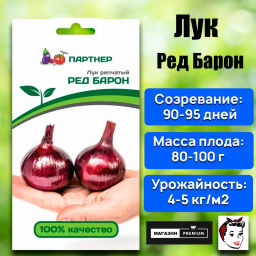 Лук репчатый Ред Барон - Партнер фото 9