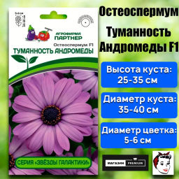 Остеоспермум Эклона Звезды Галактики Туманность Андромеды - Партнер фото 2