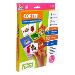 Сортер Изучаем животный мир с карточками Домана - Iq-zabiaka фото 4