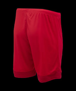 Шорты игровые JOGEL DIVISION PerFormDRY Union Shorts, красный/темно-красный/белый фото 5