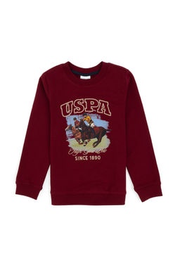 Erkek _ocuk Bordo Bisiklet Yaka _nce Bisiklet Yaka Sweatshirt - U.s. polo assn фото 4
