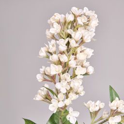ЦВЕТОК ИСКУССТВЕННЫЙ СИРЕНЬ ВЫСОТА=78СМ. - Lefard фото 2