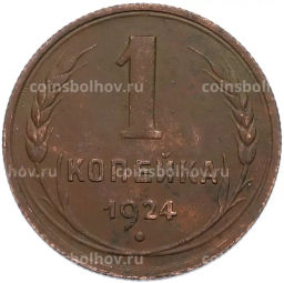 Монета 1 копейка 1924 года