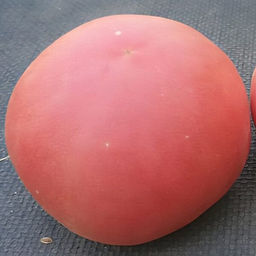 7060T Томат Персик Блов Саттон 10шт