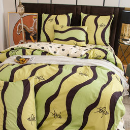 Комплект постельного белья Сатин 100% хлопок C605 2 спальный 70-70 2 шт;50-70 2 шт