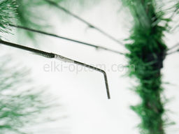 Сосна пушистая с инеем и шишками сборная 150 см - Ип лебедев о.ю фото 8