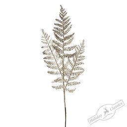Ветка папоротника Азолла шампань, 80 см