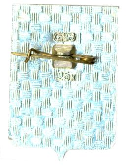 Значок Сычевка