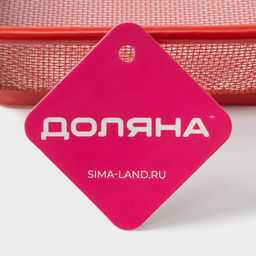 Крышка - сито Доляна «2 в 1», 28×20 см, красная