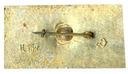 Значок Ленинград  летний сад