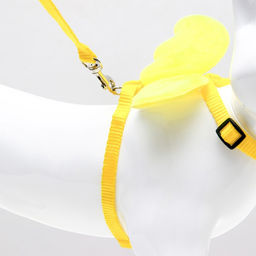 Комплект амуниции Ангел, размер S, шлейка 20-34 см, поводок 120 х 1 см, жёлтый - Пижон фото 3