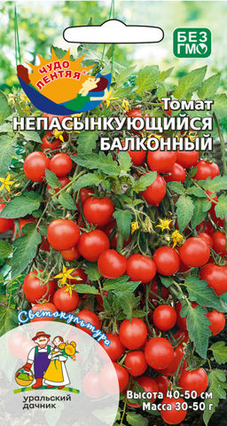 Томат НЕПАСЫНКУЮЩИЙСЯ БАЛКОННЫЙ