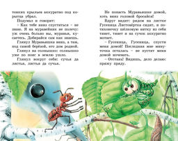 Как Муравьишка домой спешил. Бианки В.