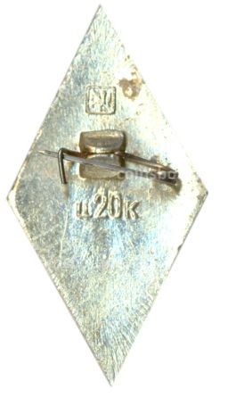 Значок ВДПО