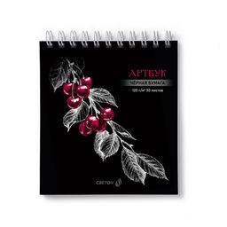 Светоч А306 Артбук (Скетчбук), блок чёрный, жесткая подложка, 120 г/м2 166*175 мм на гребне 30 л. 2 шт. Вишня 01939