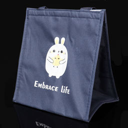 Термосумка для ланчбокса 23*16,5*22,5см 8,5л арт. WJ102 (701508)