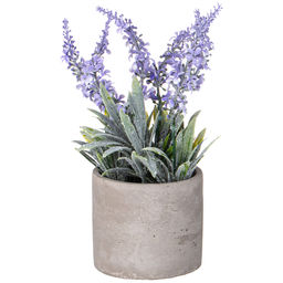 ИЗДЕЛИЕ ДЕКОРАТИВНОЕ В ЦЕМЕНТНОМ ГОРШКЕ - Lefard фото 2