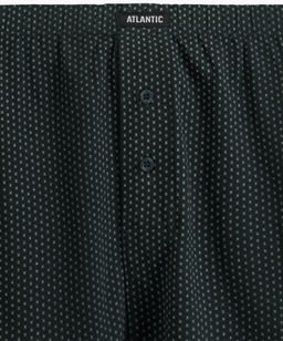 ATLANTIC 2MBX-079 Трусы боксеры Small Print - набор 2 шт. баклажан + изумрудный фото 5