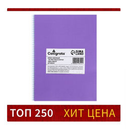 Сменный блок д/тетр на кольцах А5 80л кл Calligrata офсет №1 60 гр/м2 бел 100%  фото 5