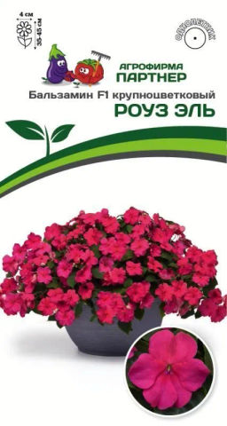 Бальзамин Уоллера крупноцветковый Роуз Эль