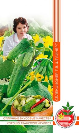 Огурец БАЙКАЛ коллекция Татьяны Штайнерт Авторская селекция