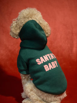 Худи для питомца с принтом / Zarina