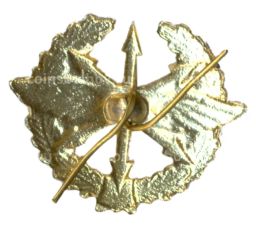 Значок Эмблема петличная Войска связи