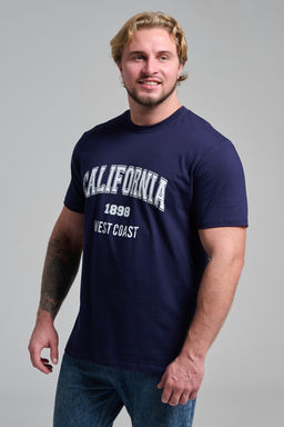 Футболка мужская 8503/1