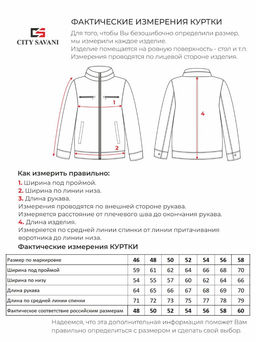 Ветровка мужская синий