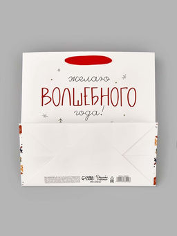 Цена за 2 шт. Пакет подарочный ламинированный новогодний Волшебного года, 22 ? 22 ? 11 см