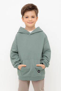КР 302680/полынь джемпер (худи) для мал
