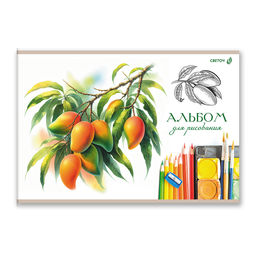 Светоч А258 Альбом для рисования 100 г/м2 A4 29.5 х 20.2 см 40 л. на скобе 5 шт. 01709 Идеальный образ  фото 44
