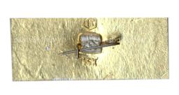 Значок Кострома