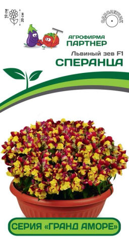 Львиный Зев низкорослый крупноцветковый Гранд Аморе Сперанца - Партнер фото 2