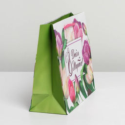 Цена за 2 шт. Пакет подарочный ламинированный, упаковка, С днём 8 марта, MS 18?23?8 см