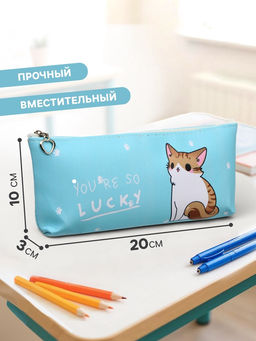 Пенал школьный на молнии Calligrata Котик, 1 отделение, плоский, МИКС  фото 2