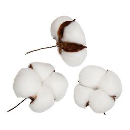 Blumentag VDF-24 Декоративные элементы 5 х 3 шт. 7 x 7 x 3.5 см 01 коробочки хлопка