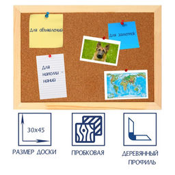 Доска пробковая А3, 30×45 см, Calligrata, в деревянной раме