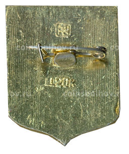 Значок Вытегра