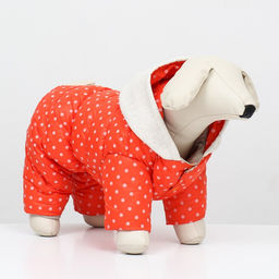 Комбинезон Для прогулки, размер 16 (ДС 36 см, ОГ 46 см, ОШ 35 см), оранжевый