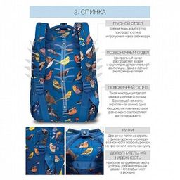 RXL-126-6 Рюкзак - Grizzly фото 3