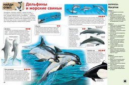 Интерактивная энциклопедия для школьников (нов.оф.*). Гиффорд К., Мейсон К., ОБрайен С.,... - Махаон фото 3