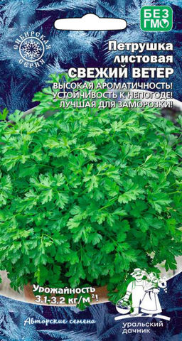 Петрушка листовая СВЕЖИЙ ВЕТЕР  Необычайно высокая ароматичность! Устойчива к непогоде! Лучшая для заморозки!