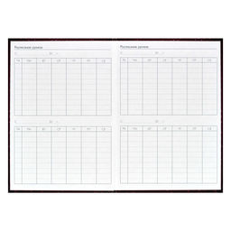 Ежегодник учителя арт. 62336 БОРДОВАЯ ФАКТУРА - Феникс+ фото 27