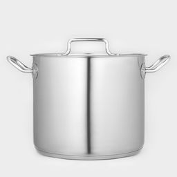 Кастрюля Катунь «Общепит», 9 л, d=24 см, с крышкой, капсульное дно, индукция, нержавеющая сталь, хромированный