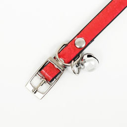 Ошейник лаковый Радуга, 30 х 1 см, разноцветный - Пижон фото 4