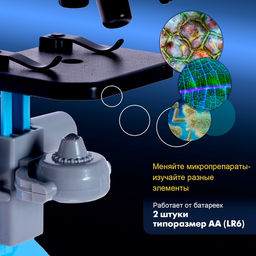 Микроскоп детский «Юный ботаник» кратность х100, х400, х1200, голубой, подсветка