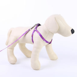 Комплект Рыбки, шлейка 24-36 см, поводок 120х1 см - Пушистое счастье фото 4