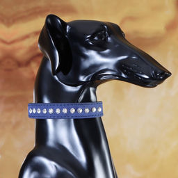 Ошейник Бархат и стразы, 31 х 1,3/2 см, ОШ 22-28 см, синий - Пижон фото 4