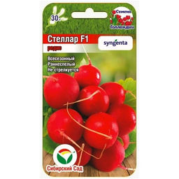 Редис Стеллар F1 60шт. (Сибирский сад)